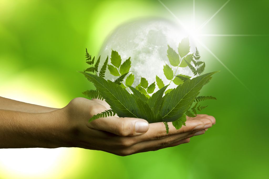 Veja como a Marinha vai usar Energia Solar e suprir 100% seu consumo de eletricidade