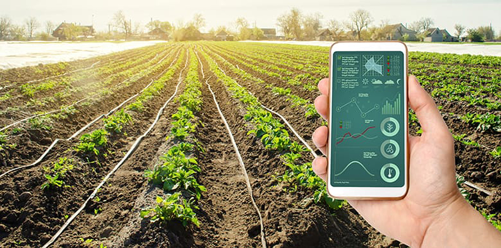 Totvs apresenta solução de inteligência agronômica alimentada por IA