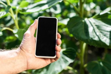 Algar e Usina Coruripe investem R$ 3,7 mi para expandir conectividade rural