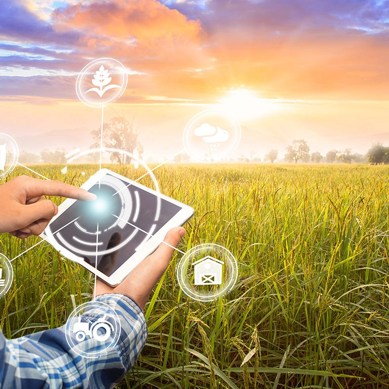 Sol by RZK lança solução de IA para gestão de atividades agrícolas