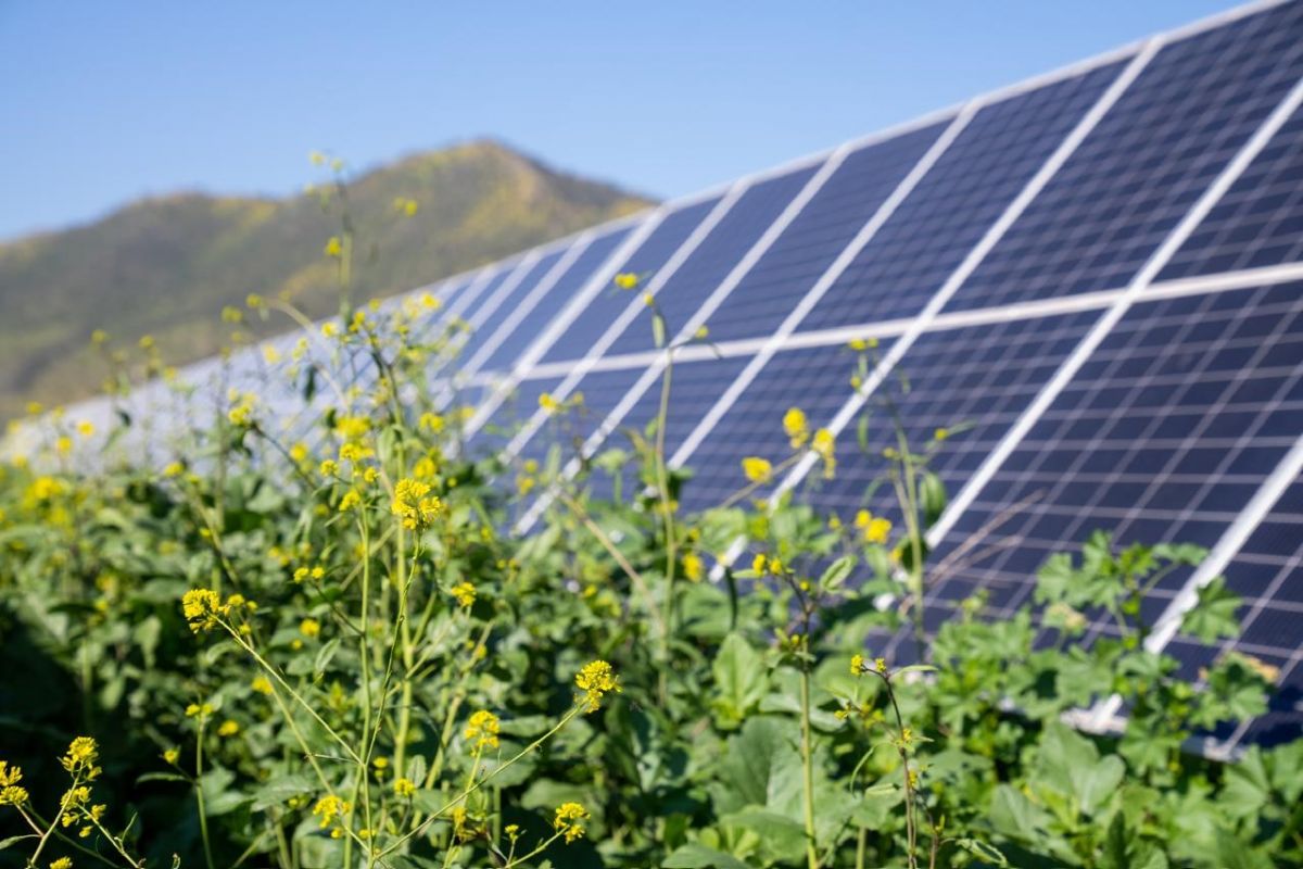Atlas Renewable Energy e Odata impulsionam energia renovável no Data Center