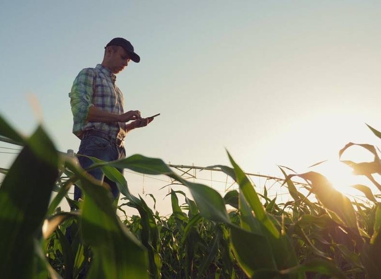 Syngenta Digital anuncia Cropwise Planting no Brasil