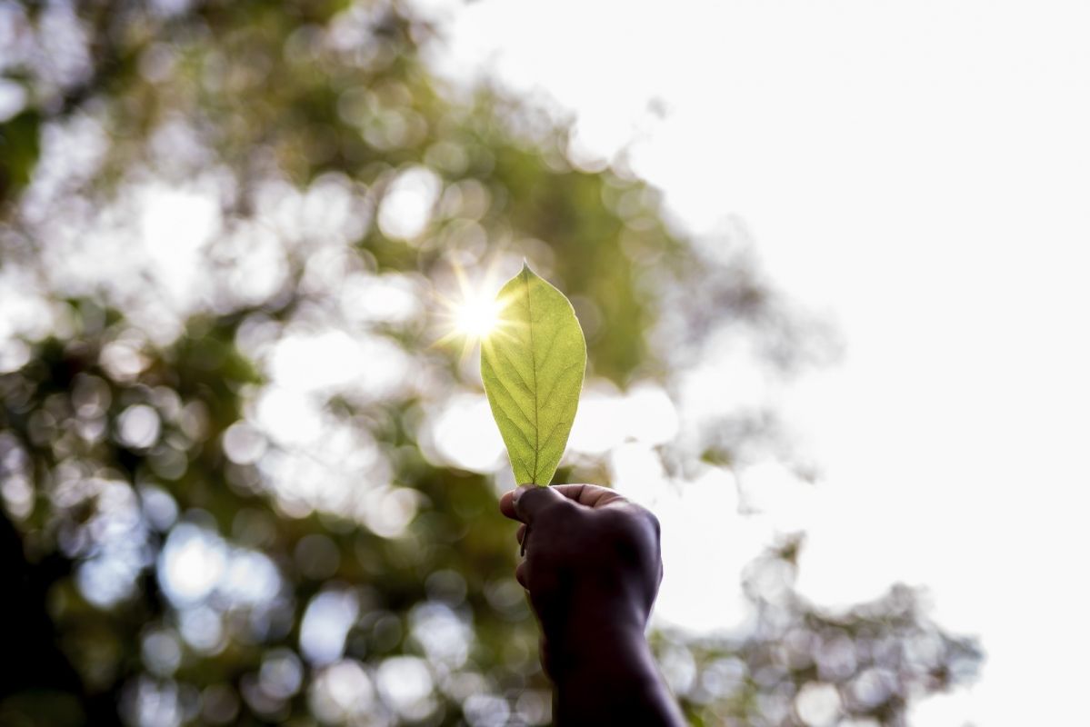 Tecnologia aproxima investidores de projetos sustentáveis e ajuda a destravar financiamento